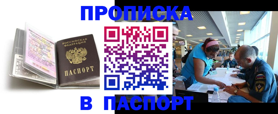 временная регистрация поиск в Полярном